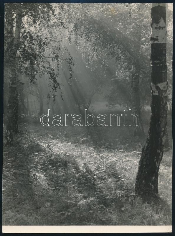 cca 1950 Jaiger Károly soproni fotóművész feliratozott, vintage fotóművészeti alkotása (Ködös reggel), ezüst zselatinos fotópapíron, 23,2x17 cm