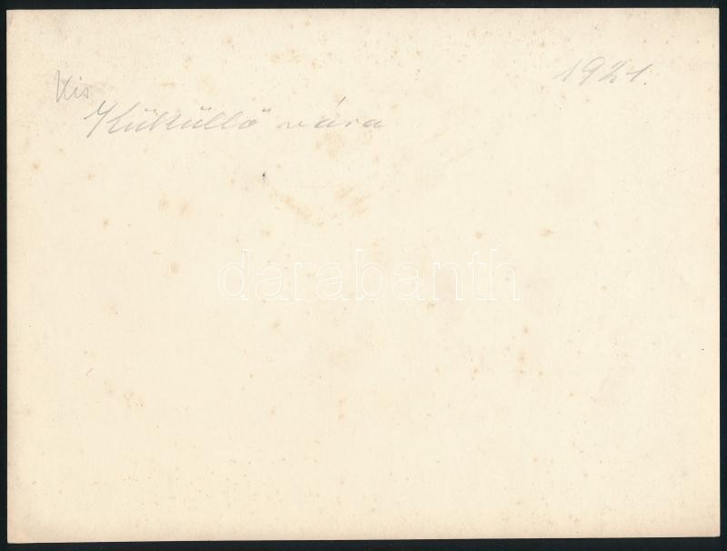 1921 Kisküküllő vára (Erdély), hátoldalon feliratozott fotó, szép állapotban, 17×23 cm - Image 2