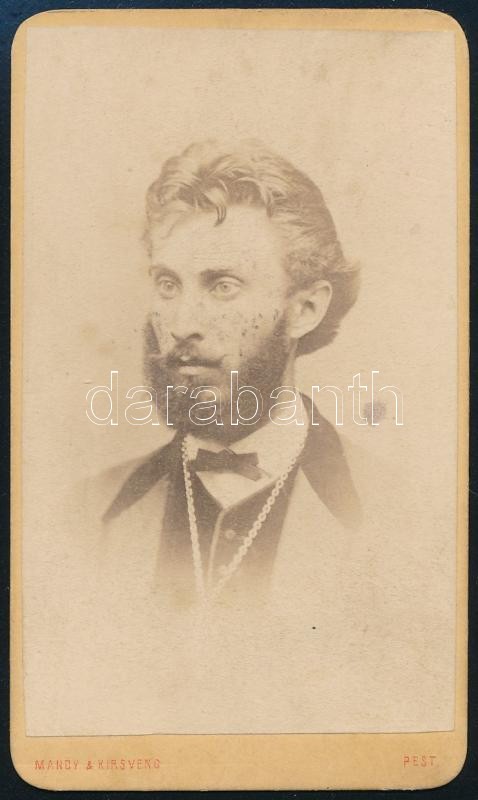 1869 Póka Kálmán (1846-1908) ügyvéd, későbbi nagykőrösi polgármester DEDIKÁLT portréfotója, "Kedves anyámnak fiúi belső szeretetem zálogául. NagyKőrös 1869. aug. 9.", keményhátú fotó Mándy és Kirsveng pesti műterméből, 10x6