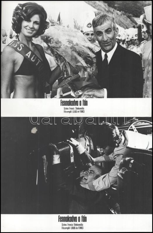 cca 1970 ,,Fennakadva a fán" című francia filmkomédia jelenetei és szereplői (főszereplő Louis de Funes), 13 db vintage produkciós filmfotó ezüst zselatinos fotópapíron, a használatból eredő (esetleges) kisebb hibákkal, 18x24 cm - Image 4