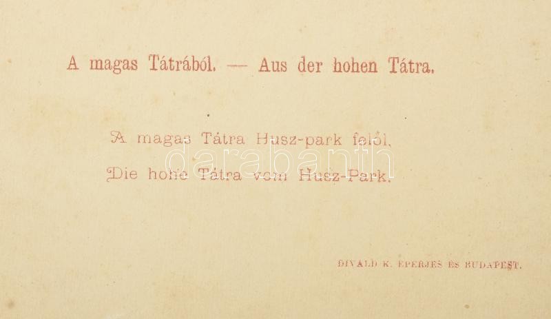 cca 1880 A Magas Tátra Husz-park felől, keményhátú fotó Divald Károly műterméből, hátulján feliratozva, 11×16 cm / High Tatra Divald photo - Image 3