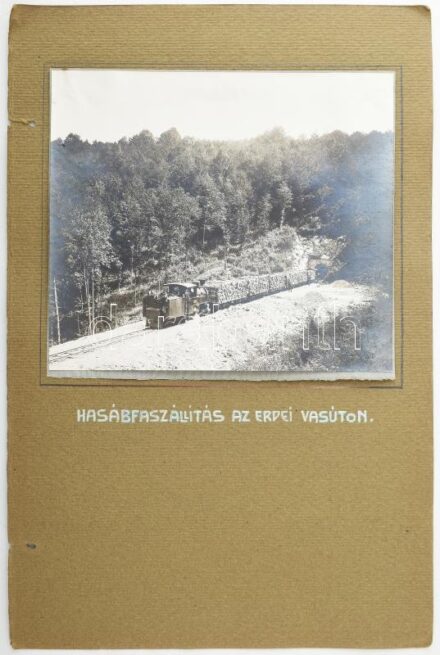 cca 1905 Erdély hasábfaszállítás az erdei vasúton Krassó-Szörény vármegyében. Az Osztrák-Magyar Vasúttársaság létesítménye. Nagy méretű fotó 28x22 cm Kartonon / 1905, Transylvania, woodtransportation on forrest railway. Krassó-Szörény County. A facility o