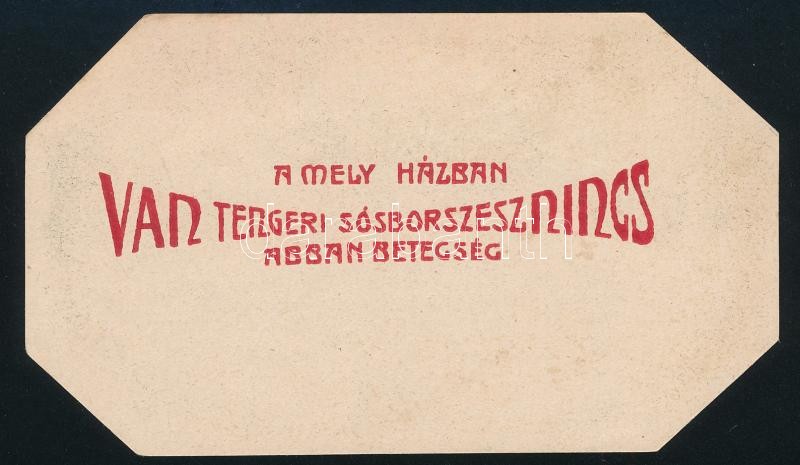 "A mely házban van tengeri sósborszesz nincs abban betegség. A Czurda Vilmos-féle tengeri sósval készített sósborszesz... Eredeti minőségben csakis Kiskunhalason, a Szent István király gyógyszertárban lesz előállítva." Dávidházy Kál. Rt. (Kleinfeller K.) - Image 2
