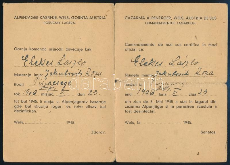 1945 Mauthauseni koncentrációs táborból szabadult magyar, tiszacsegei születésű személy, ideiglenes igazolványa, 1945. jul. 12., Ujjlenyomattal, angol és német nyelven. Valamint a felső-ausztriai Wels városának igazolása, hogy az illető az amerikai hadser - Image 2