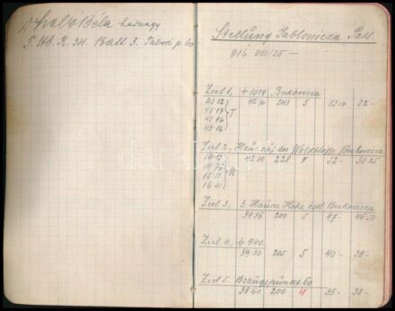 1916-1917 Dr. Szabó Béla hadnagy, a Cs. és Kir. Hadsereg 34. tábori tüzérezred 3. ütegénél szolgáló (ill. a háború alatt a 17. tábori ágyúsezrednél is megfordult) katonatiszt, tüzérségi megfigyelő naplója az I. világháború idejéből. Benne számos érdekes,