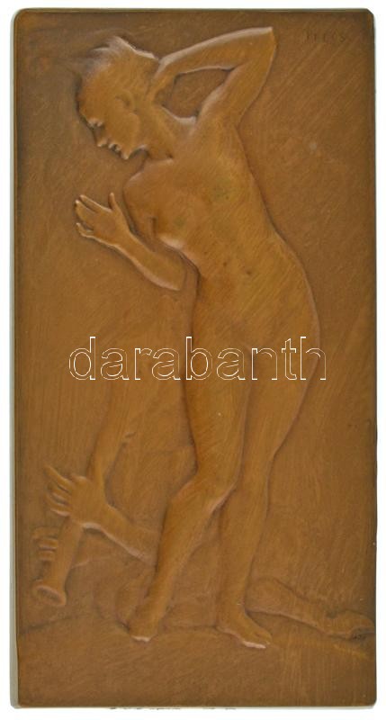 Telcs Ede (1872-1948) 1910. "Boszorkány" mesés motívumokat ábrázoló egyoldalas bronz plakett, Éremkedvelők Egyesületének tagsági érme, peremén sorszámozott, "75"-ös sorszámmal (43,5x81mm) T:AU / Hungary 1910. "Witch" one-sided bronze plaque depicting fair