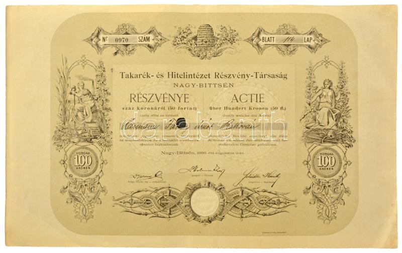 Nagybiccse 1896. "Takarék- és Hitelintézet Részvény-Társaság Nagy-Bittsén" névre szóló részvény 100K/50Ft-ról, szárazpecséttel, lyukasztással érvénytelenítve T:F / Hungary / Nagybiccse (Bytča) 1896. "Takarék- és Hitelintézet Részvény-Társaság Nagy-Bittsén