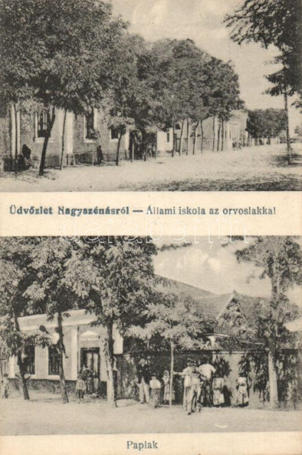 Nagyszénás, Állami iskola, orvoslak, paplak