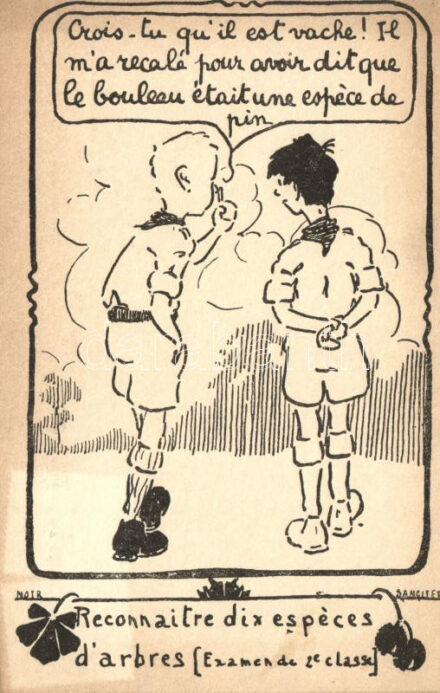 Éclaireurs Unionistes de France / French scouts postcard, Noir Sanglier